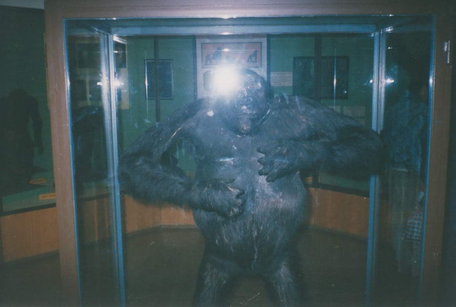 Bilder M Quandt 1989 -09